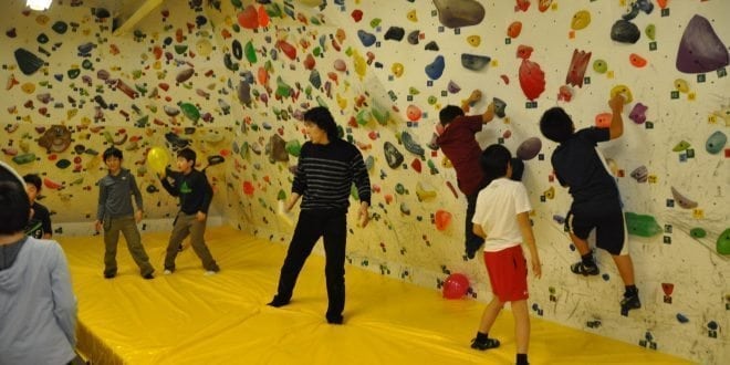 Climbing Gym Spider Birthday Party Venue