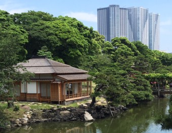 Hamarikyu Garden Park Tokyo Picnic By The Bay