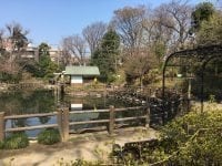 Nabeshima Shoto Park Shibuya Best Living Japan